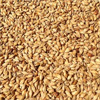 Aromatic Malt