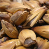 Carabohemian Malt