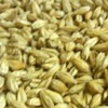 Carapils Malt